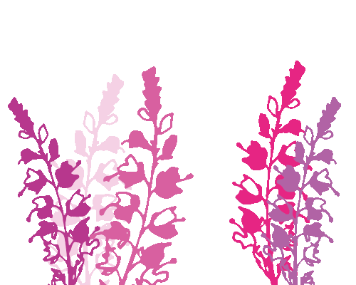 Flower Summer Dinner Sticker by Gardengirls