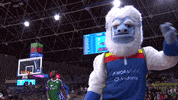 liga endesa basketball GIF by ACB