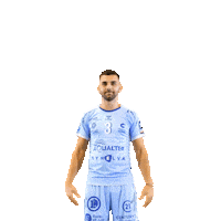cchartresmhb sport handball balonmano lnh Sticker