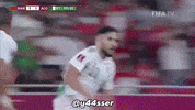 Qatar Wahren GIF