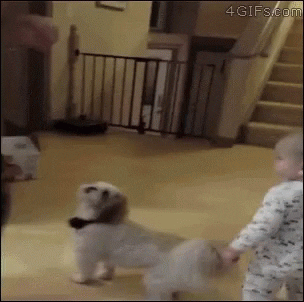 Dancing GIF by MOODMAN