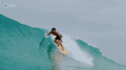 Climate Change Swimming GIF by PBS Digital Studios