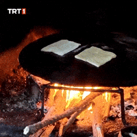 Hungry Fire GIF by TRT