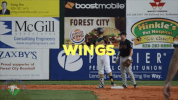 forest city owls fun GIF by Coastal Plain League