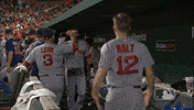 jd hug GIF by MLB