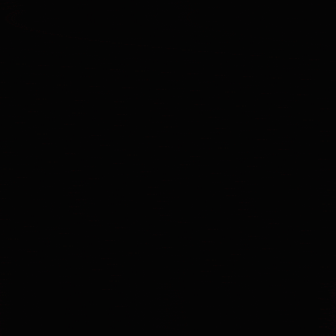 Stl Celio GIF by St. Louis CITY SC