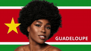 Miss World Afro GIF