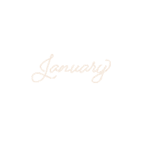 New Years Cheers Sticker by Beauty by Earth