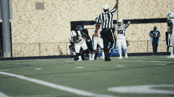Dust Off Womens Football GIF by Women's National Football Conference