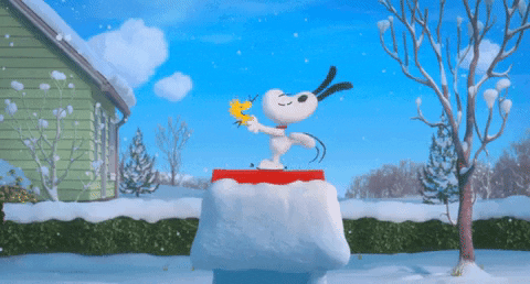 sverineduvic giphyupload GIF