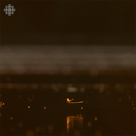 excited oh no GIF by CBC