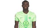 Like A Boss Deal With It Sticker by VfL Wolfsburg