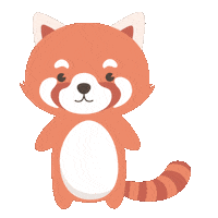 Red Panda Sticker by Sugarhouse Social