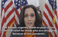 Kamala Harris GIF by GIPHY News