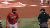 Angry Baseball GIF by Jomboy Media