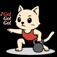 Sport Fitness GIF