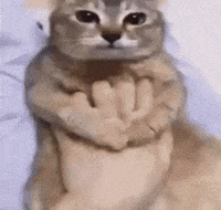 Mei Mei Vro GIF