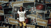 Georgia Tech Football GIF by Georgia Tech Yellow Jackets