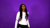 Clemsonvb Championshipbehavior GIF by Clemson Tigers