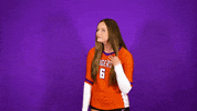 Clemsonvb Championshipbehavior GIF by Clemson Tigers