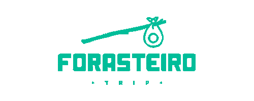 ForasteiroTrip giphyupload giphythatsgonnabeanofrommedawg trip viagem Sticker