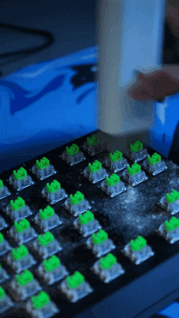 Dallyone giphygifmaker GIF