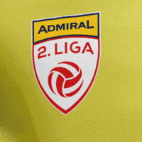 Steiermark Zweite Liga GIF by ADMIRAL