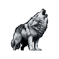 Wolf Sticker by Wolfpack Digital