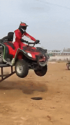 mugart giphyupload surprise shopping gift GIF