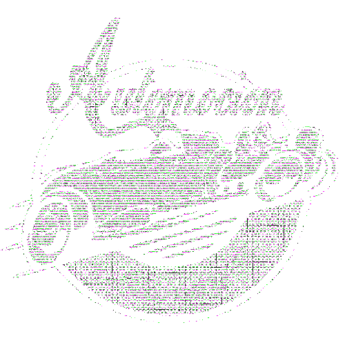 automocionnaranjo giphyupload naranjo automocion automocion naranjo Sticker