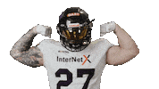 American Football Sticker by Frankfurt Galaxy