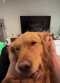 Dogg Love GIF