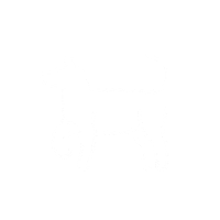 Recovery Happydog Sticker by NOVAFON
