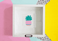 plant cactus GIF by ali mac
