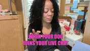 Dog GIF by lovedandblessed