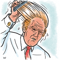 trump case GIF