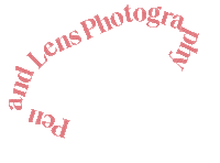 PL-Photography pink text wedding photography Sticker