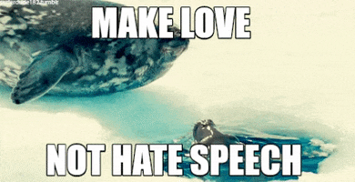 Nohatespeech Nohate GIF by Democratic Meme Factory