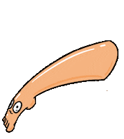 Feet Foot Sticker