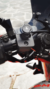 lampaspa lampaspa GIF