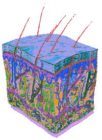 Art Pixel Sticker by badblueprints