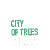 SAFE_Credit_Union money local trees safe Sticker