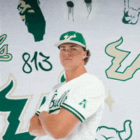 South Florida Baseball GIF by USF Athletics