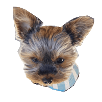 Dog Yorkie Sticker by Mrvibes