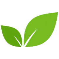 Leaf Sticker by enmarket
