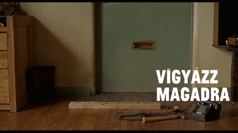 TIBBOR giphyupload coronavirus lebowski korona GIF