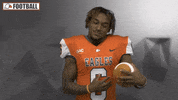 Cnfb GIF by Carson-Newman Athletics