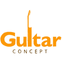 GuitarConcept guitar concept Sticker