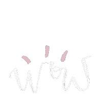 Fiesta Wow Sticker