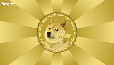 Crypto Doge GIF by eToro